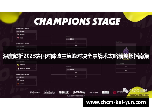 深度解析2023法国对阵波兰巅峰对决全景战术攻略精编版指南集